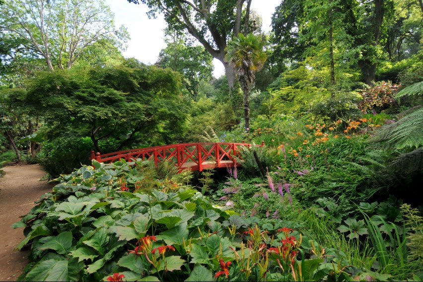 Abbotsbury Subtropical Gardens, United Kingdom